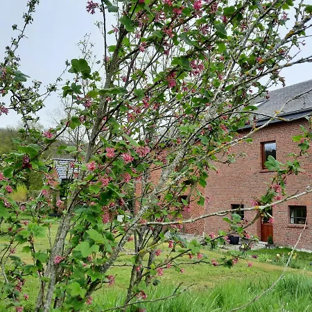 Aux Saveurs D'enneille Bed & Breakfast Durbuy