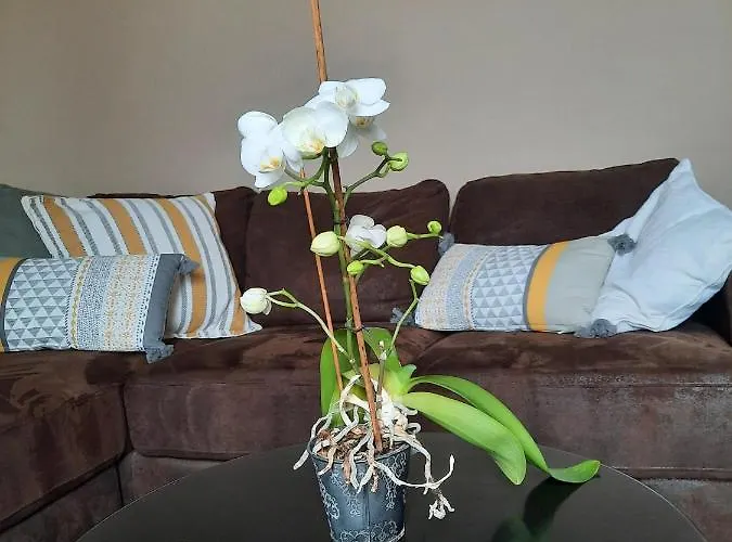 Aux Saveurs D'enneille Couette-café 3*