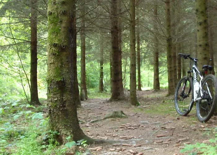 Aux Saveurs D'enneille