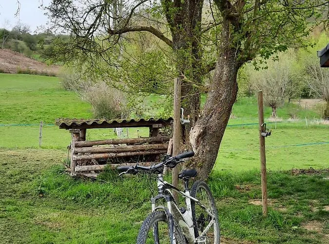 Aux Saveurs D'enneille Durbuy