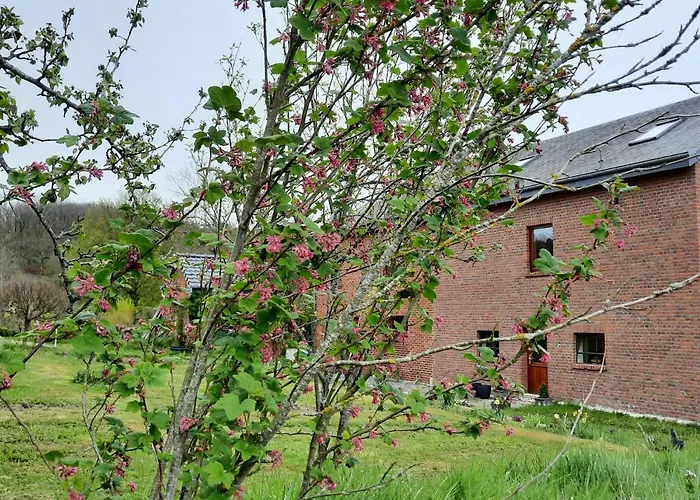 Aux Saveurs D'enneille Couette-café Durbuy